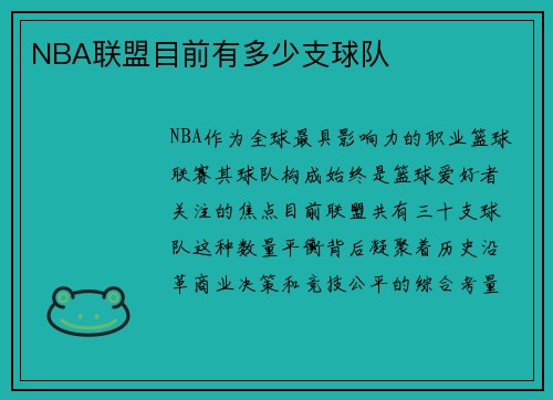 NBA联盟目前有多少支球队